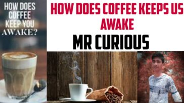 What type of coffee keeps you awake?