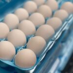 What type of egg gives the most protein?