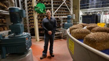 What was Dave's Killer bread in jail for?