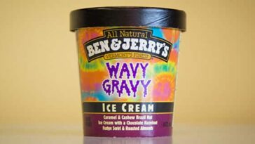 What was in Wavy Gravy ice cream?
