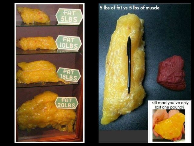 What weight is 15 stone pounds?