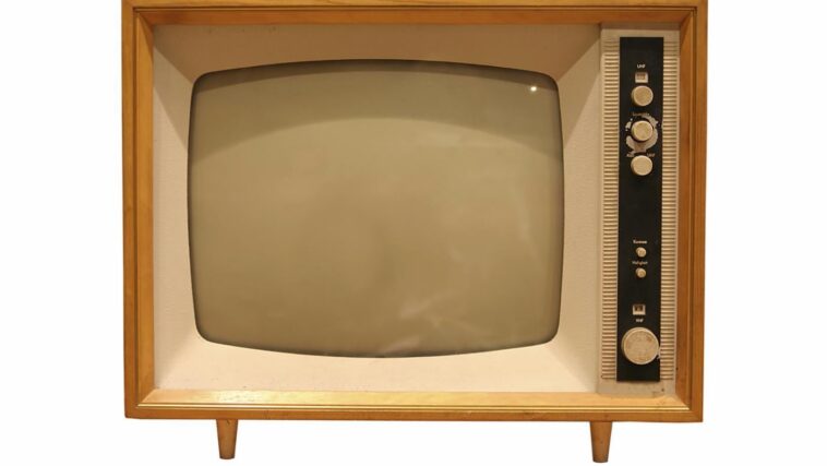 What year did TV dinners come out?