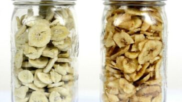 What's better freeze drying or dehydrating?