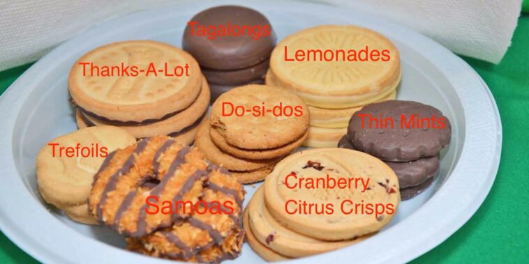 What's the best Girl Scout Cookie?