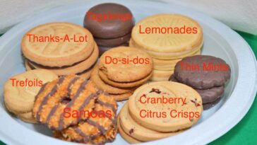 What's the best Girl Scout cookie?