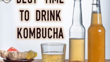What's the best time of day to drink kombucha?