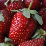 What's the best way to hull strawberries?