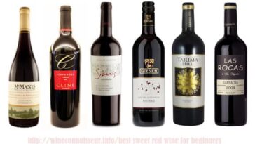 What's the best wine for beginners?
