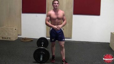 What's the difference between Wingstop and thigh stop?