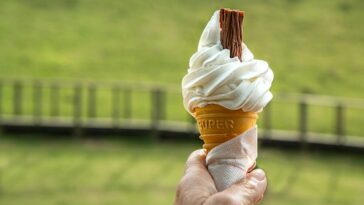 What's the difference between light ice cream and regular ice cream?