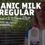 What's the difference between organic milk and regular milk?
