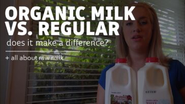 What's the difference between organic milk and regular milk?