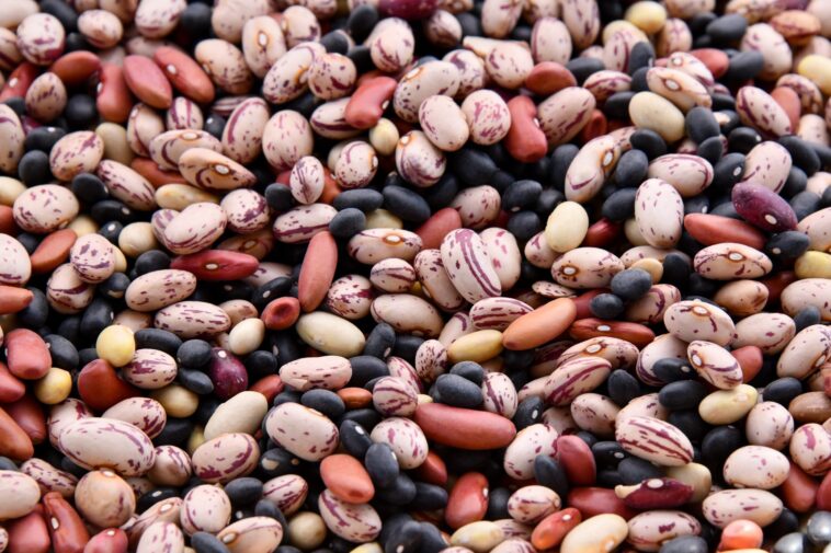 What's the healthiest Bean?