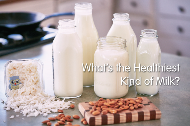 What's the healthiest milk to drink?
