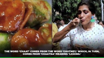 When did BelVita bites come out?