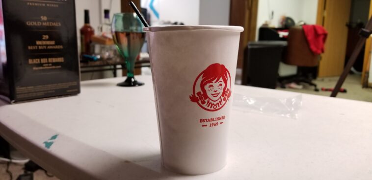 When did Wendy's introduce the vanilla Frosty?