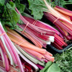 When should you not eat rhubarb?
