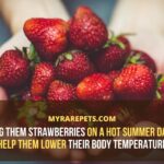 When should you not eat strawberries?