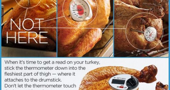 Where do you put the thermometer in a Spatchcock turkey?