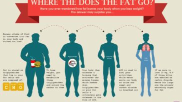 Where does fat go when you lose weight?