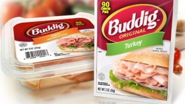 Where is buddig meat made?