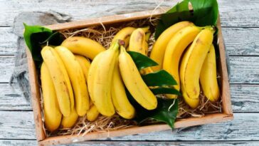 Where is the best place to store bananas?