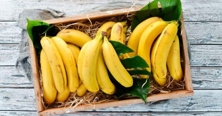 Where is the best place to store bananas?