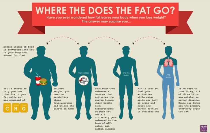 where-is-the-first-place-you-lose-weight