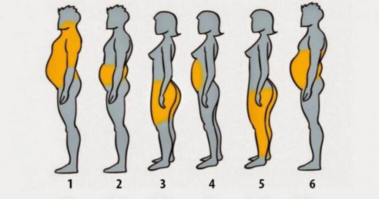 Where is the first place you lose weight on your body?