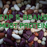 Which Bean has the highest protein?