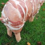 Which animal is made into bacon?