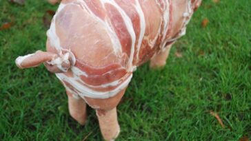 Which animal is made into bacon?