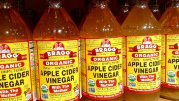 Which apple cider vinegar with mother is best?
