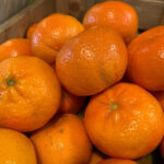 Which are bigger clementines or mandarins?