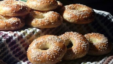 Which bagel has lowest sodium?