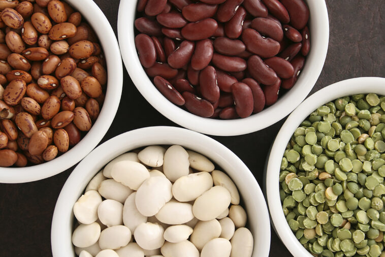 Which bean is the healthiest?