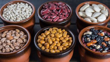 Which beans are easiest on stomach?
