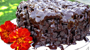 Which country has best cake?