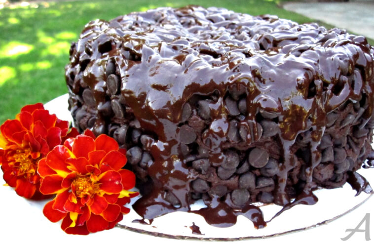 Which country has best cake?