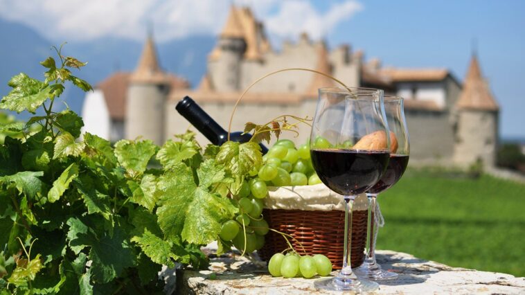 Which country is famous for wine?