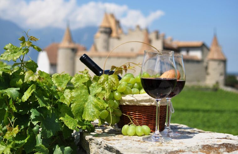 Which country is famous for wine?