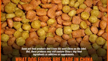 Which dog treats are made in China?