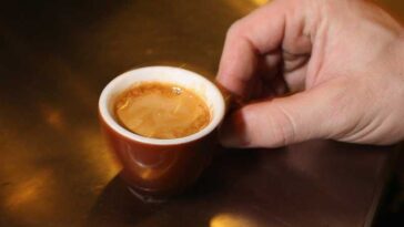 Which espresso has the most caffeine?