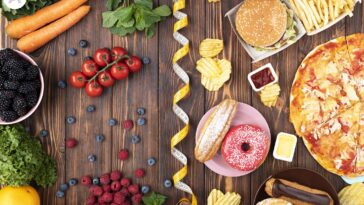 Which fat burner is best for weight loss?