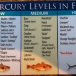 Which fish is lowest in mercury?