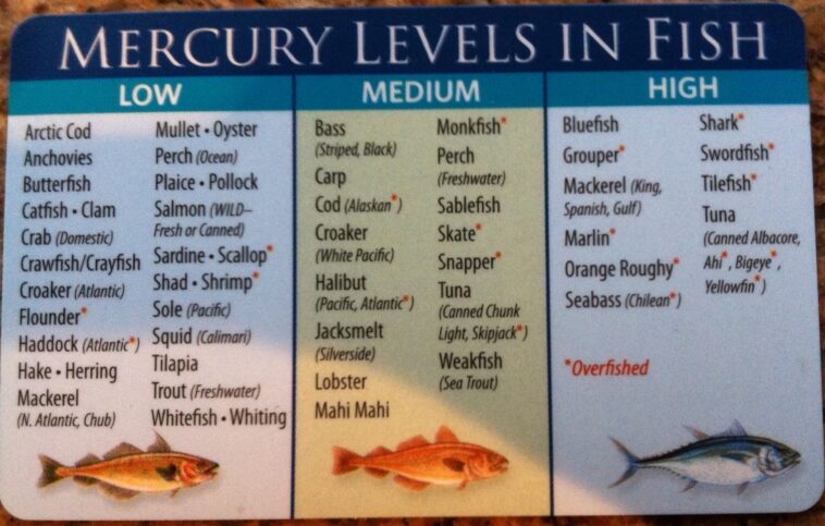 Which fish is lowest in mercury?
