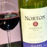 Which is better Malbec or Merlot?