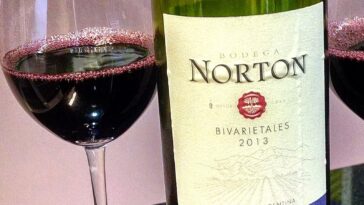 Which is better Malbec or Merlot?