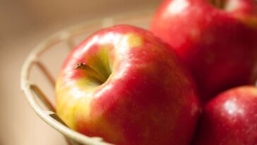 Which is better Pink Lady or Honeycrisp?