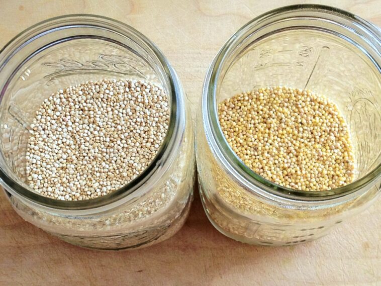 Which is better millet or quinoa?